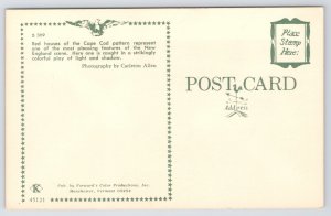 Cape Cod Massachusetts~Panorama of Red Houses~Vintage Postcard