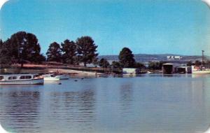 Western Kentucky view of boat basin Kentucky Dam vintage pc Z43824