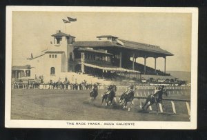 TIJUANA HOT SPRINGS MEXICO AGUA CALIENTE RACE TRACK VINTAGE POSTCARD