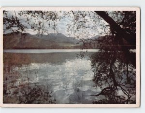 Postcard Lake Trees Landscape Scenery