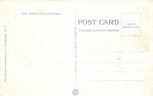 Bear Mountain Park New York Postcard