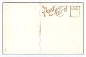 Lindsborg Kansas Carnegie Library Postcard