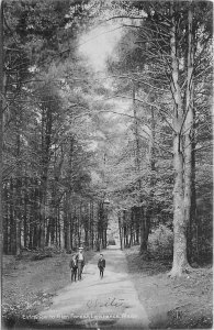 1906 Lawrence Massachusetts Entrance Glen Forest man Children Postcard 25-11957