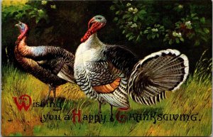 Thanksgiving With Turkeys 1909