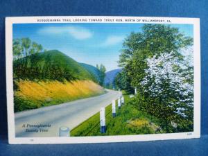 Postcard PA Susquehanna Trail Toward Trout Run near Williamsport