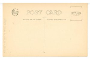 Greeting - Christmas & New Year     (brand new!)