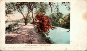 Vintage Postcard NC Asheville By the Swannanoa River Dirt Road UDB 1902 H24