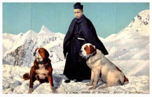 Dog , Saint Bernard and Monk