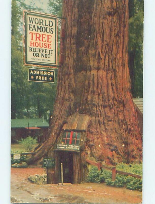 Pre-1980 WORLD-FAMOUS TREE HOUSE Piercy California CA hn4765
