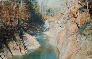 Natural Bridge Virginia~Lacy Water Falls~1950s Postcard