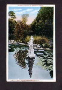 NY Lily Pond Saratoga Springs New York Postcard  Yaddo Estate Spencer Trask