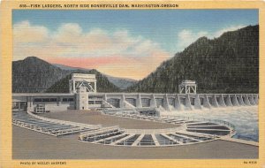 Washington Oregon 1940s Postcard Fish Ladders North Side Bonneville Dam