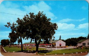 Vintage Twin Pines Motel Brandon Manitoba Postcard Road Travel 1950s Advertising