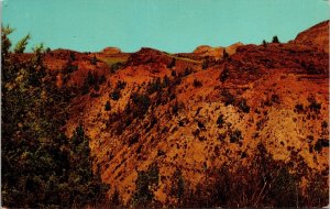 Theodore Roosevelt National Memorial Park North Dakota ND Badlands Postcard PM  