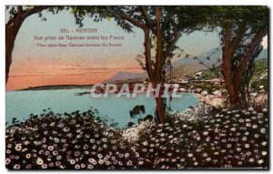 Old Postcard Menton Garavan View Shooting between Flowers