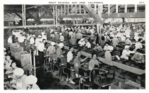 San Jose CA-California, Fruit Packing Plant Employees Vintage Postcard