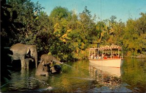 California Anaheim Disneyland Elephant Bathing Pool