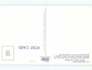 Pre-1980 MONARCH BUTTERFLIES AT BUTTERFLY PARK Carmel & Monterey CA c7597