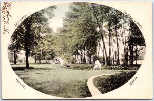 VINTAGE POSTCARD SCENE AT OUGHTON'S PARK DWIGHT ILLINOIS MAILED 1908 RARE