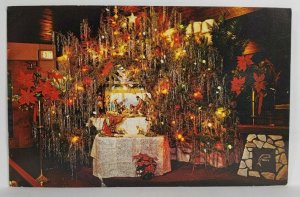 Christmas Nativity Scene St Marys Mt Carmel Shrine Manistee Mich Postcard T10