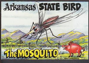 Arkansas State Bird Mosquito Comic Postcard BIN 1237