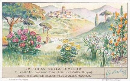 Liebig Trade Card S1354 Flora Riviera No 5 Vallata presso San Remo