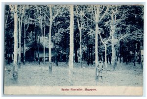 c1940's Trees View Rubber Plantation Singapore Unposted Vintage Postcard