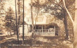 Jaffrey New Hampshire Birches Ark Real Photo Antique Postcard K56391