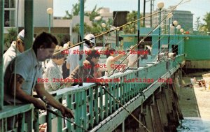 FL, Deerfield Beach, Florida, Municipal Fishing Pier, Bert Louis Pub No P3414