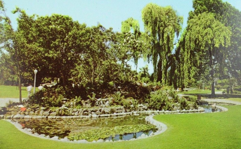 Rock Gardens in City Park, Anaheim, Cal. Vintage Postcard P106