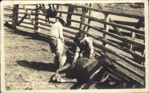 Wolf Wyoming WY Cowboys Saddling Terrified Horse Eatons Ranch RPPC PC