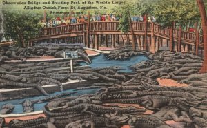 Vintage Postcard Observation Bridge Breeding Pool Alligator-Ostrich Farm Florida