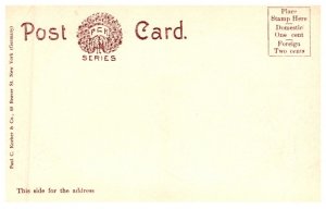 New York Buffalo , Public Library