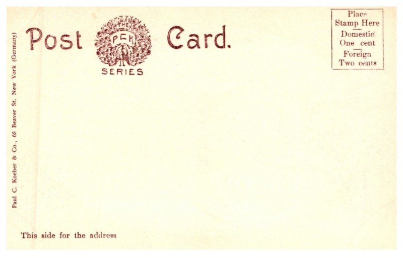 New York Buffalo , Public Library