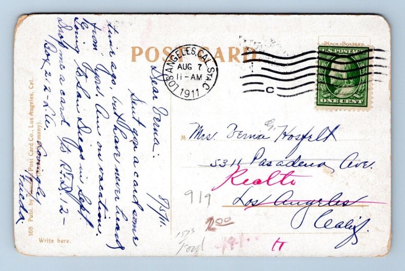 Native Son Donkey Mule Laughing it Over Humor 1910 DB  Postcard M5