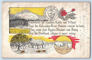 Oregon OR Postcard Lumber Cattle Wheat River Peaches Sheep Humors Multiview