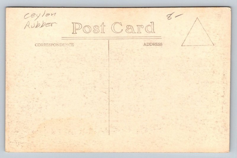 RPPC  Ceylon  Native Worker Harvesting Rubber Tree c1920  Postcard