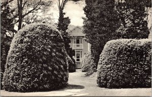 Boxwood Garden Entrance Ash Lawn Home James Monroe Postcard VTG UNP Vintage 