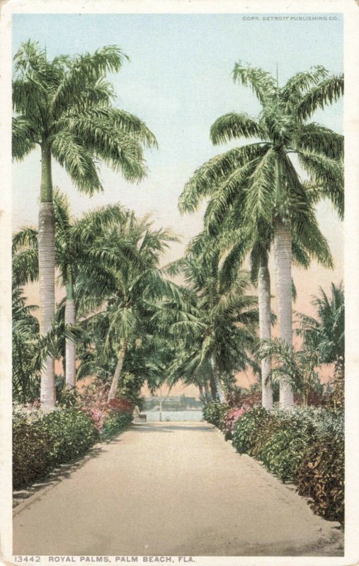 Postcard Royal Palms Palm Beach Florida