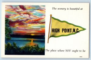 High Point North Carolina NC Postcard The Scenery Is Beautiful High Point Humor