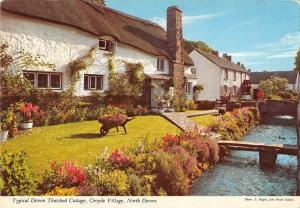 BR91950 typical devon thatched cottage croyde vllage devon   uk