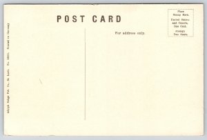 San Antonio Texas~Travis Park & Confederate Monument~Homes Behind~c1910 Postcard