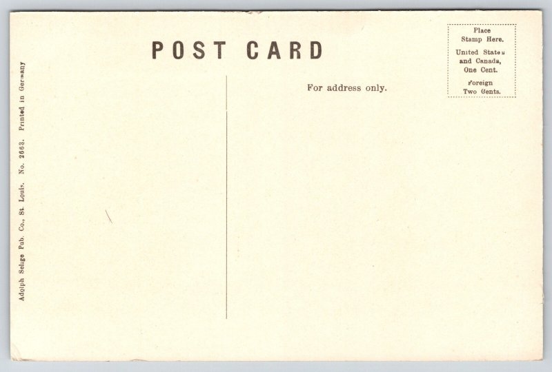 San Antonio Texas~Travis Park & Confederate Monument~Homes Behind~c1910 Postcard