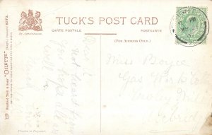 A line from Brighton fishes 1907 postcard