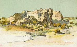 NM - Adobe Ruin on the Mesa