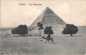 BR100442 cairo the pyramds camel egypt africa