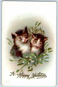 c1910's Christmas Cute Cat Kittens Mistletoe Embossed Unposted Antique Postcard