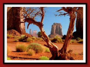 Arizona,  Monument Valley - Juniper Trees - [AZ-504X]