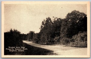 Postcard Brighton Ontario c1930s Presqu’ile Summer Hotel Wooded Drive