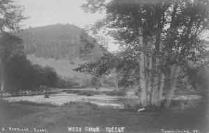 Townshend Vermont West River Valley Real Photo Antique Postcard K86924